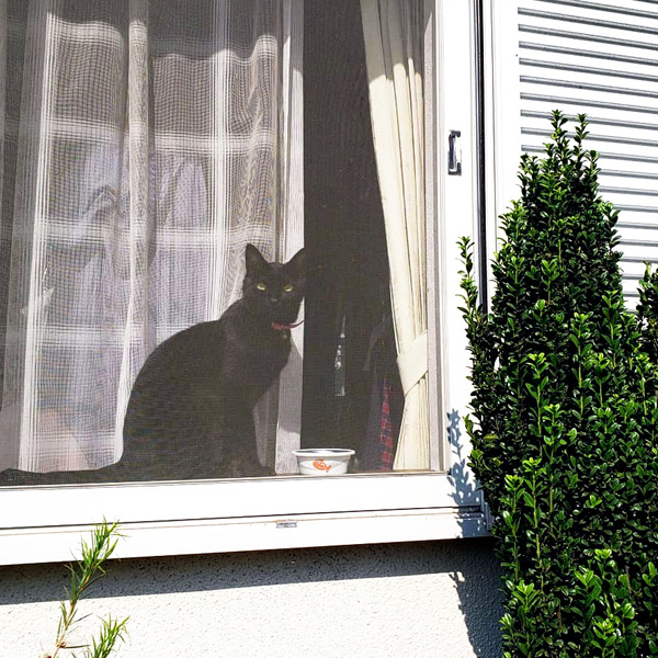 イタリアンガーデン